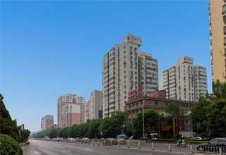 园艺园林工具加拿大中转服务商推荐